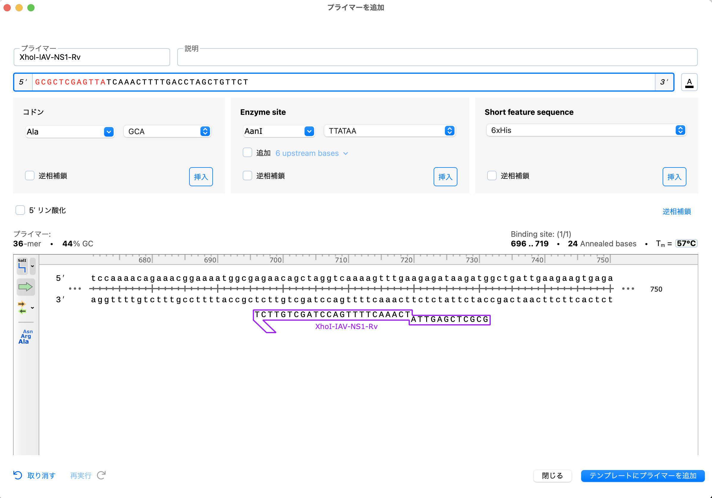 SnapGene_制限酵素処理による挿入クローニング_プライマーを追加_Rv